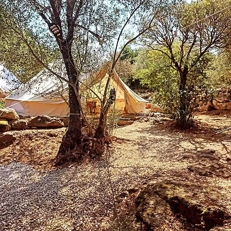 Pasare Glamping_anglonaruralexperience 럭셔리텐트